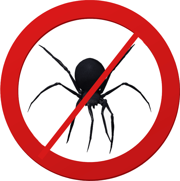 Spider Pest Control Melbourne