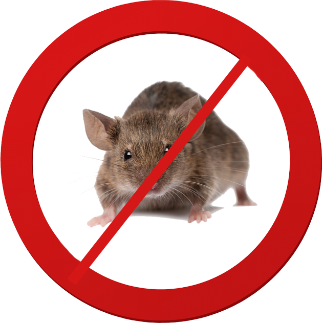 Rodent Pest Control Melbourne