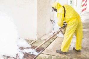 Things to do before Termite Pest Control