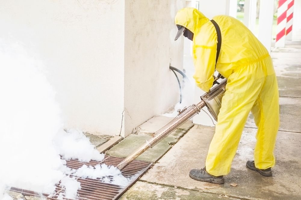 Things to do before Termite Pest Control